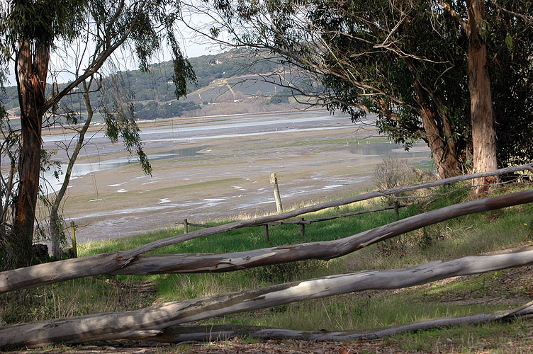 Elkhorn Slough Feb. 2010 075.jpg